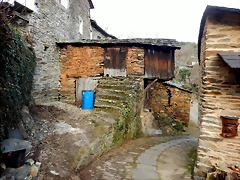 DSCN3274 DSCN3274