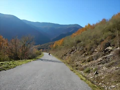DSCN9155 DSCN9155