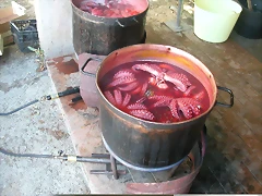 DSCN3175 DSCN3175