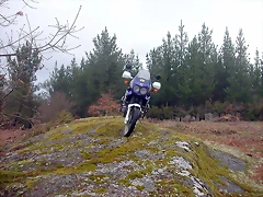 DSCN5374 DSCN5374