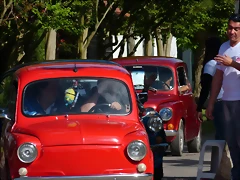 P1190103 P1190103