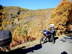 DSCN9557 DSCN9557