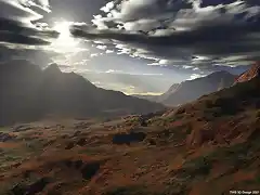 Sahara_after_rain