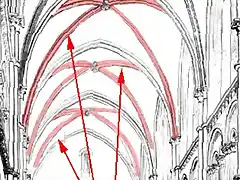 nervios diagonales