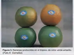 naranjas