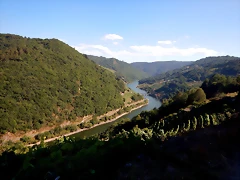 DSCN4207 DSCN4207