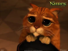 miauuuu-1024x768 miauuuu-1024x768