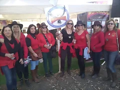 11039140_793028217470529_2918231984697726379_n 11039140_793028217470529_2918231984697726379_n