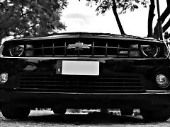 DSC_0818 DSC_0818