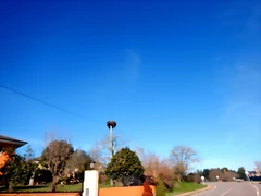 DSCN2544 DSCN2544