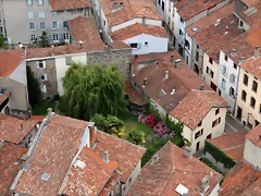 IMG_6876 IMG_6876