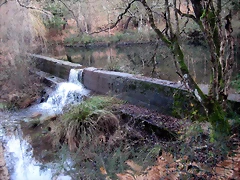 IMG_0541 IMG_0541