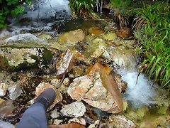 DSCN3882 DSCN3882