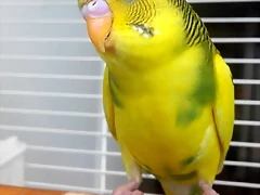 20180905_101605 20180905_101605