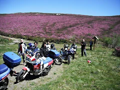 DSCF2550