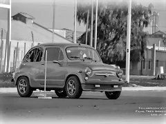 DSC_0628 DSC_0628