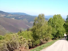DSCN4441 DSCN4441