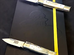 FV
