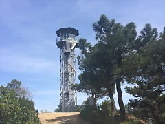 2015-04-03 13.50.31