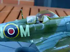 Spitfire (7)