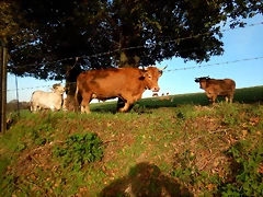 DSCN0542 DSCN0542