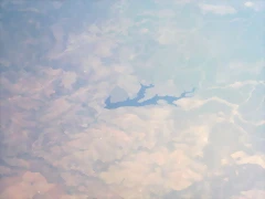 20022009091