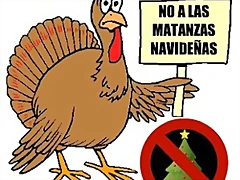 2PAVO