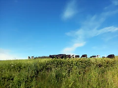 DSCN2398 DSCN2398