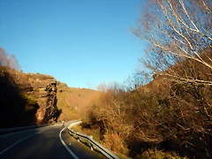 DSCN1175 DSCN1175