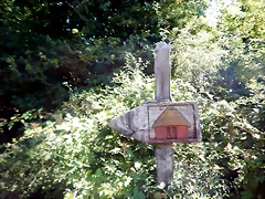 DSCN8378 DSCN8378
