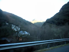 DSCN2433 DSCN2433