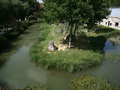 Beauval agost 2010 651 Beauval agost 2010 651