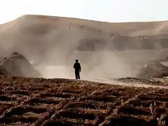 desertizacion