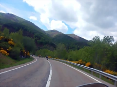 DSCN2923 DSCN2923