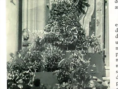 ASI FUE 1? OFRENDA 1958
