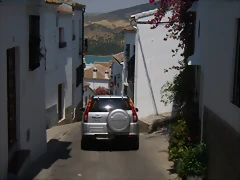 P7030090 P7030090