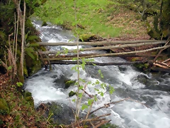 DSCN4422 DSCN4422