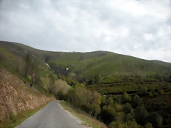 DSCN9442 DSCN9442