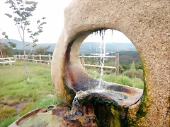 DSCN2162 DSCN2162