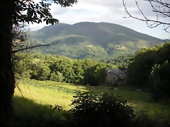 DSCN4272 DSCN4272