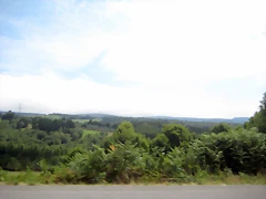 IMG_0309 IMG_0309