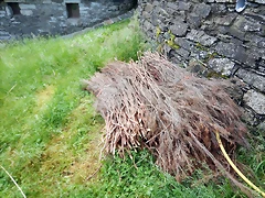 DSCN4772 DSCN4772