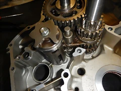 DSCN1721 DSCN1721