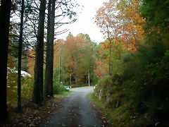 DSCN5726