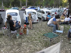SDC12256 SDC12256