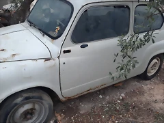 IMG-20240209-WA0004