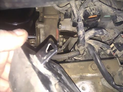 IMAG0518 IMAG0518
