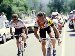 Perico-Tour1986-Pau-Hinault10b