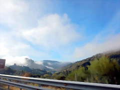 DSCN9950