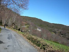 DSCN7995 DSCN7995